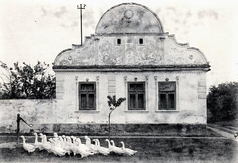 b42335fa04f52ceb8f3d6c3d13bb62d0