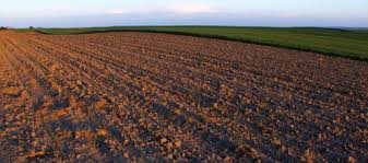 преузимање (2)