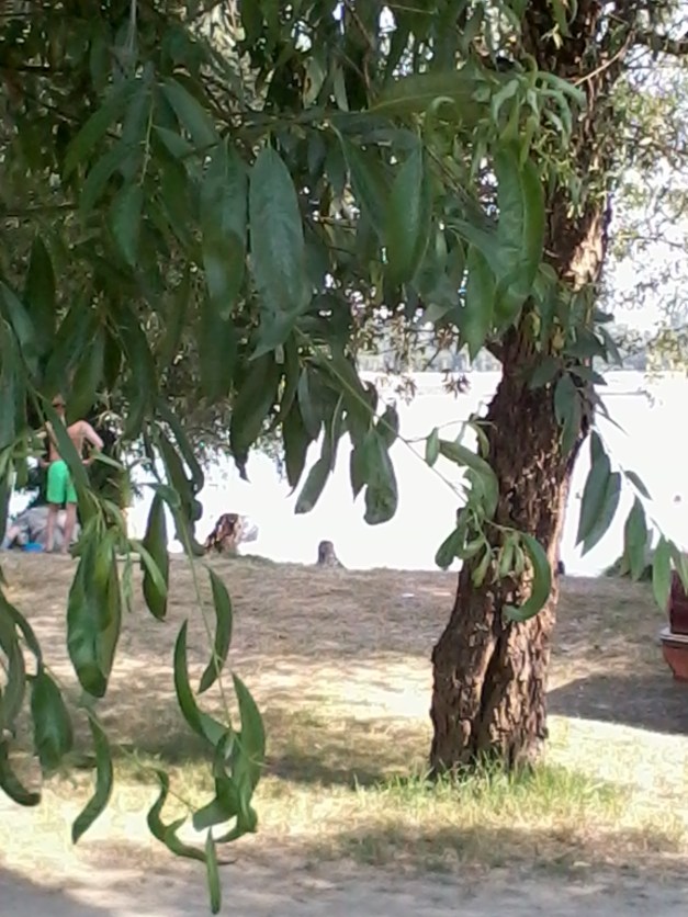 2012-07-08 09.24.51.jpg