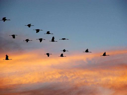 jato-ptica photobucket com