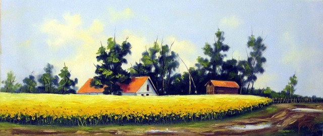 vojvodjanski-suncokreti