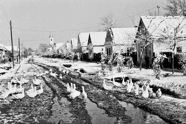 22310363_1686222941419543_7736309993252309156_n