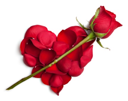 valentinesrose.jpg