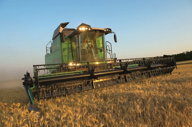 _1259929 (Kopiraj).jpg