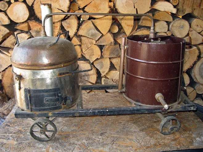 raca8.jpg