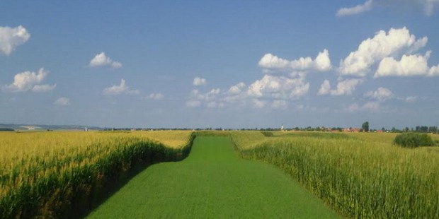 vojvodina-ravnica-poljoprivreda-zemlja_660x330.jpg