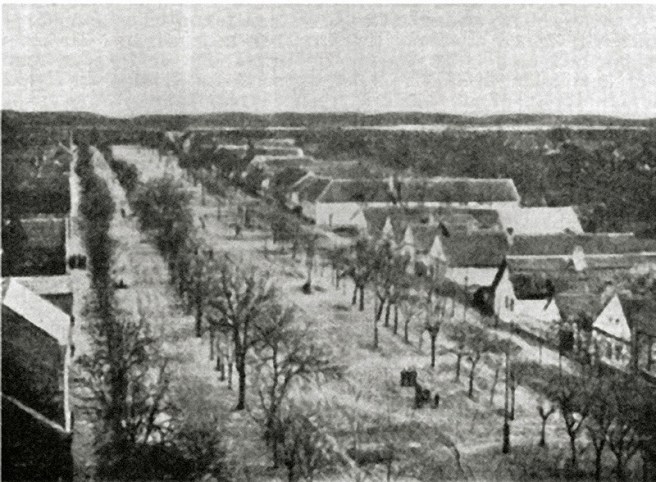 1161570_Buljkes_certdesetih