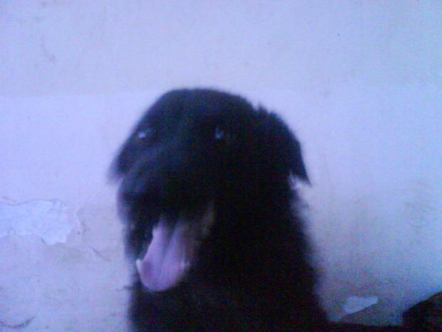 Fotografija 0162.jpg