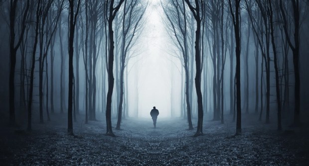 dark_spooky_forest_with_silhou_by_shashaa-d68xve3