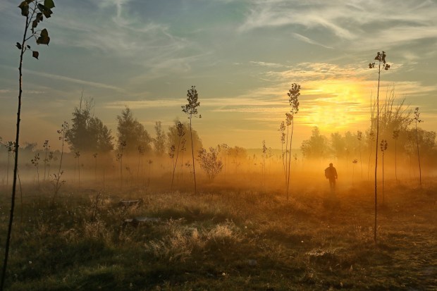 Magla-svuda-magla-29216