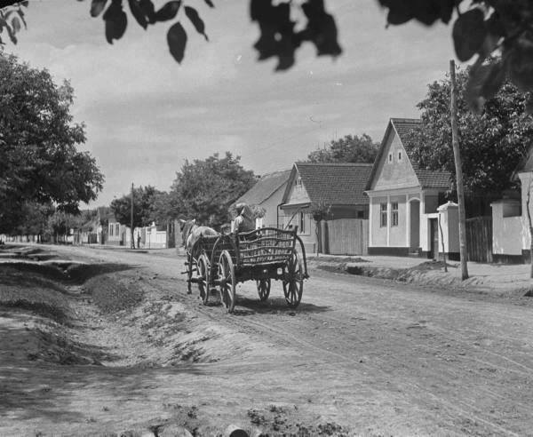 22448306_1686222761419561_1155312443493163407_n