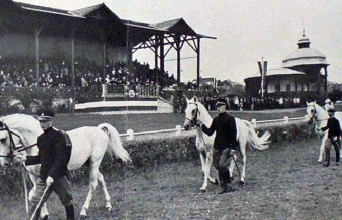 Beogradski_hipodrom