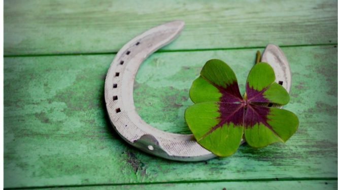 cropped-Screenshot_2019-06-21-15-46-44-851_com.microsoft.office.word_