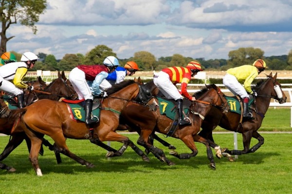 najskuplji-konji-na-svetu