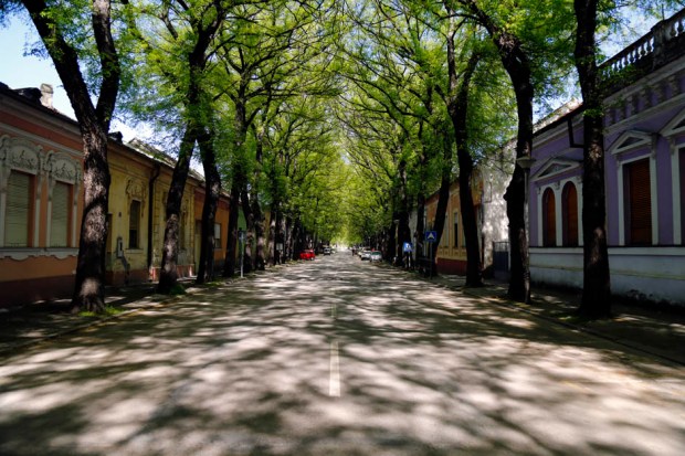 ulica-petra-drapsina-kikinda-mondo-goran-sivacki-4-