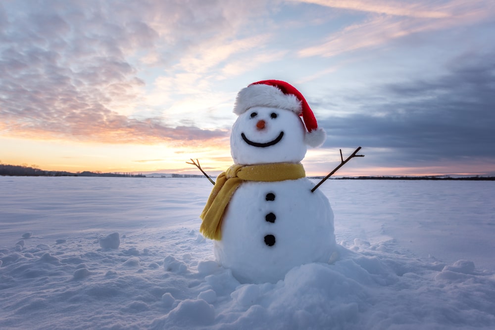 Ова слика има празан alt атрибут; име њене датотеке је snesko-belic-shutterstock-1.jpg